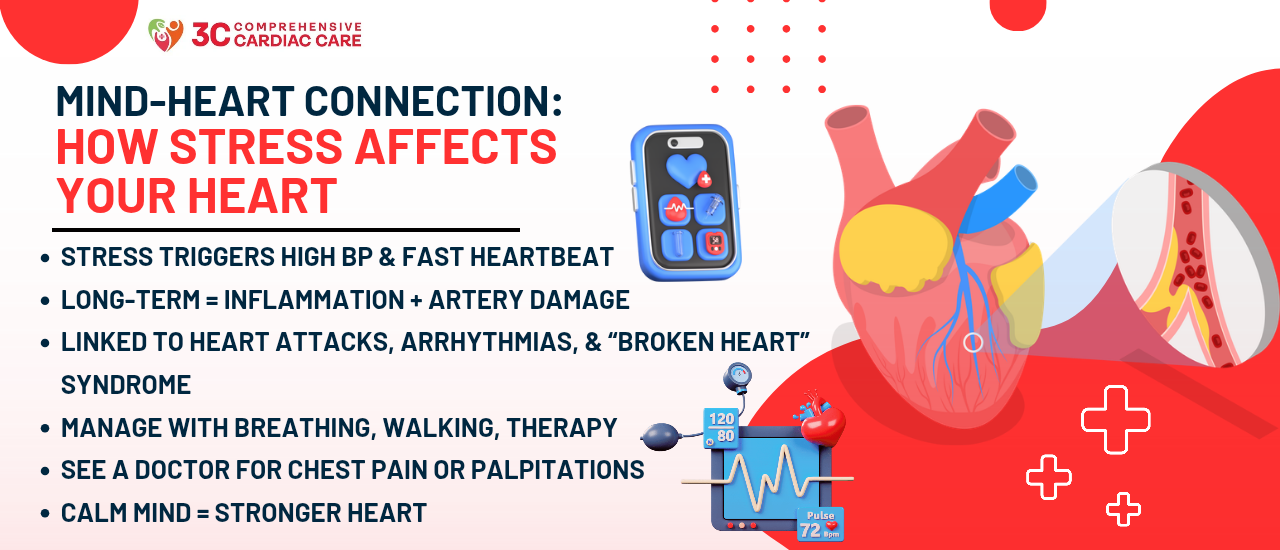 Can Stress Really Cause Heart Problems?